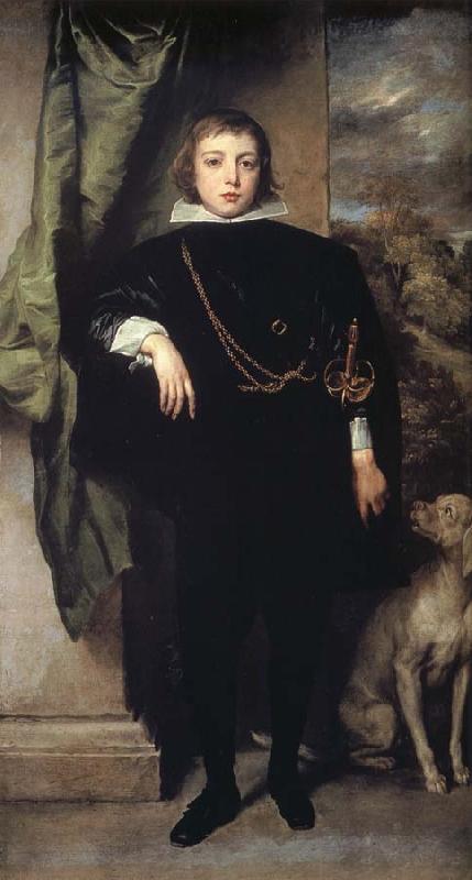 Anthony Van Dyck Prince Rupert of the Palatinate oil painting image